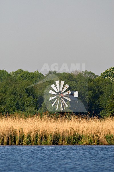 Natuurgebied Rottige Meente in Friesland stock-image by Agami/Marc Guyt,