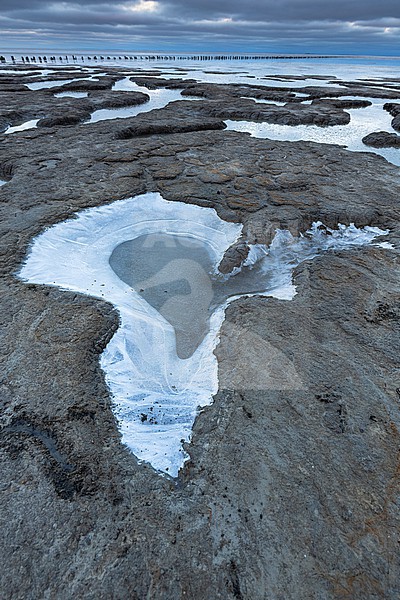Frozen Wadden Sea stock-image by Agami/Wil Leurs,