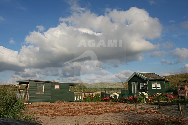 Dunes of Six coastal village Egmond aan Zee Netherlands; Duinen van Six kustdorp Egmond aan Zee Nederland stock-image by Agami/Marc Guyt,