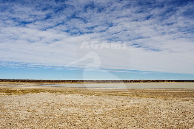 Patagonia, Argentina stock-image by Agami/Marc Guyt,