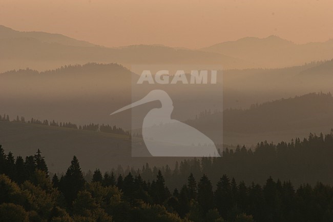 Zonsondergang Karpaten; Sunset Carpatians stock-image by Agami/Menno van Duijn,
