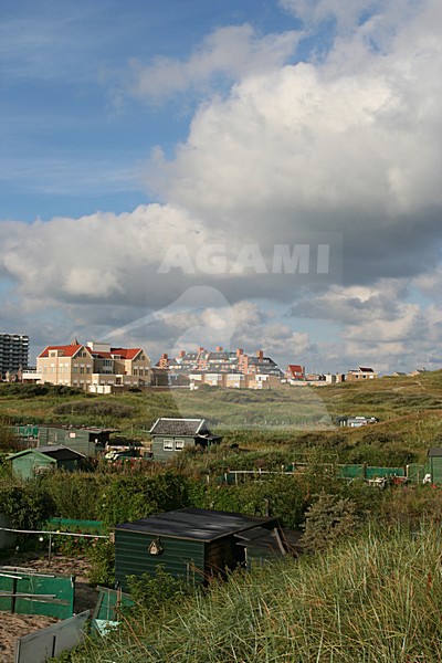 Dunes of Six coastal village Egmond aan Zee Netherlands; Duinen van Six kustdorp Egmond aan Zee Nederland stock-image by Agami/Marc Guyt,