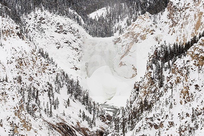 Snow-covered Lower Yellowstone River Falls at Yellowstone National Park stock-image by Agami/Caroline Piek,