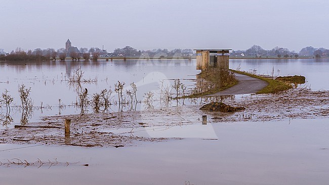 IJssel hoog water, IJssel high water stock-image by Agami/Eric Tempelaars,