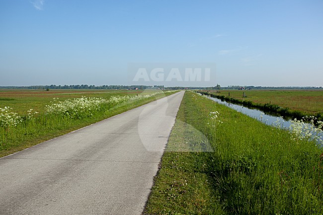 Landschap Arkemheen, Landscape Arkemheen stock-image by Agami/Roy de Haas,