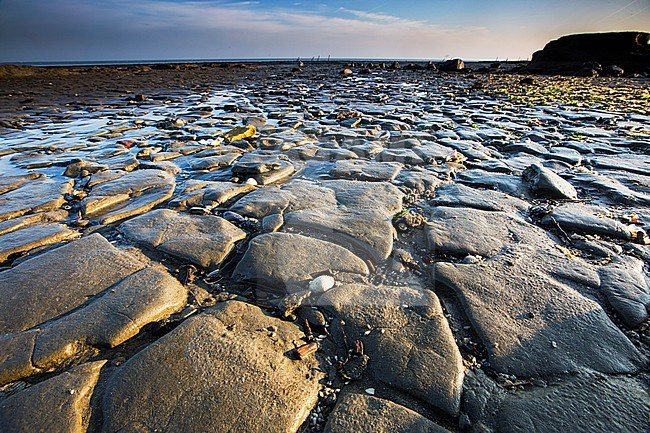 Sandbars at the Waddensea stock-image by Agami/Wil Leurs,
