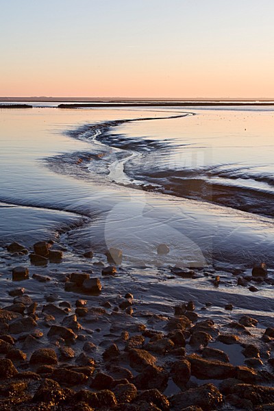 Waddenzee bij Holwerd; Wadden Sea at Holwerd stock-image by Agami/Marc Guyt,