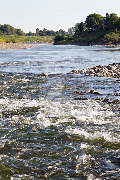 Grensmaas, Meers, Limburg; Nederland / Netherlands stock-image by Agami/Ran Schols,