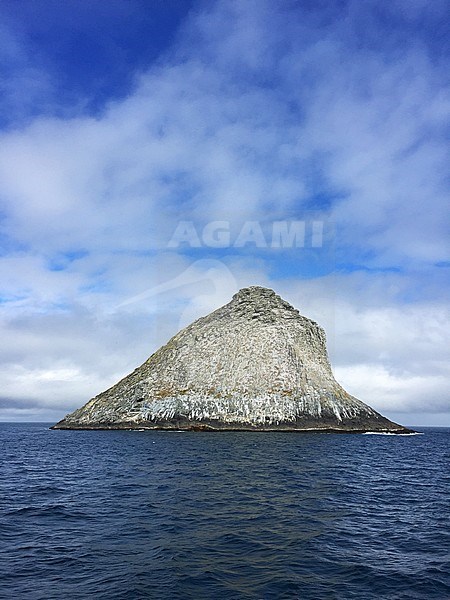 Pyramid Rock in the Chatham islands, New Zealand. The only breeding site of the Chatham Albatross. stock-image by Agami/Marc Guyt,