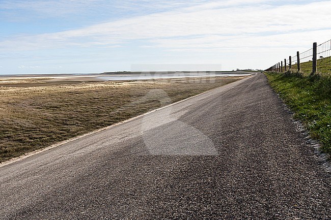 Road along dike at Texel stock-image by Agami/Marc Guyt,