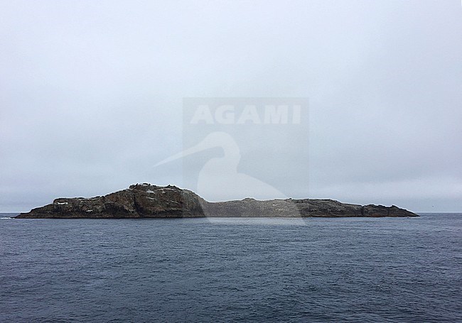 The remote Bounty Islands off New Zealand. A small group of 13 uninhabited granite islets and numerous rocks in the southern pacific ocean. The group is a World Heritage Site. stock-image by Agami/Marc Guyt,