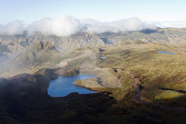 Papallacta Pass Ecuador stock-image by Agami/Marc Guyt,
