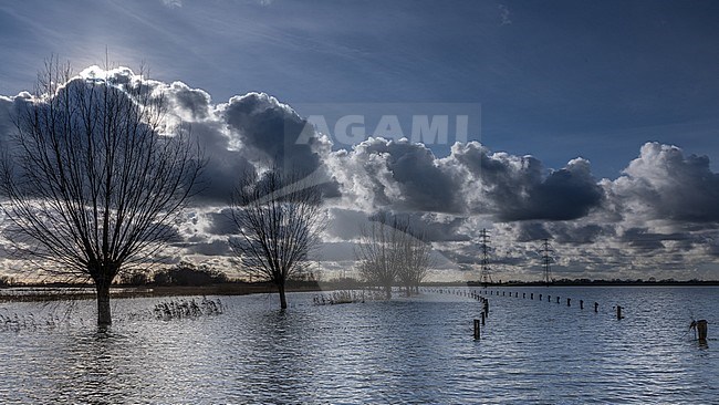 IJssel hoog water, IJssel high water stock-image by Agami/Eric Tempelaars,