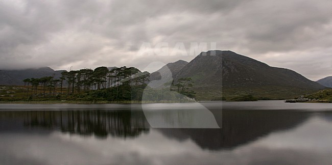 Connemara, Ierland / Ireland stock-image by Agami/Bas Haasnoot,