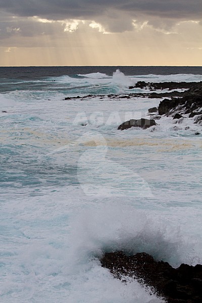 Kust Azoren, Coast Azores stock-image by Agami/Menno van Duijn,