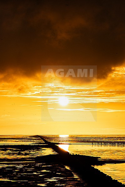  stock-image by Agami/Menno van Duijn,