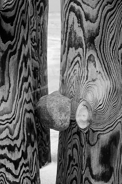 Groyne in winter, Sylt, Germany stock-image by Agami/Ralph Martin,