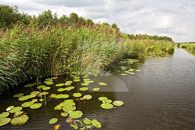 manual updated stock-image by Agami/Marc Guyt,