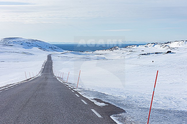  stock-image by Agami/Menno van Duijn,