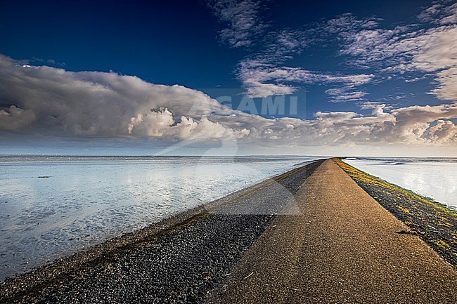 The Dutch Wadden stock-image by Agami/Wil Leurs,