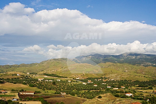 Heuvels op Lesbos; Hills on Lesvos stock-image by Agami/Marc Guyt,