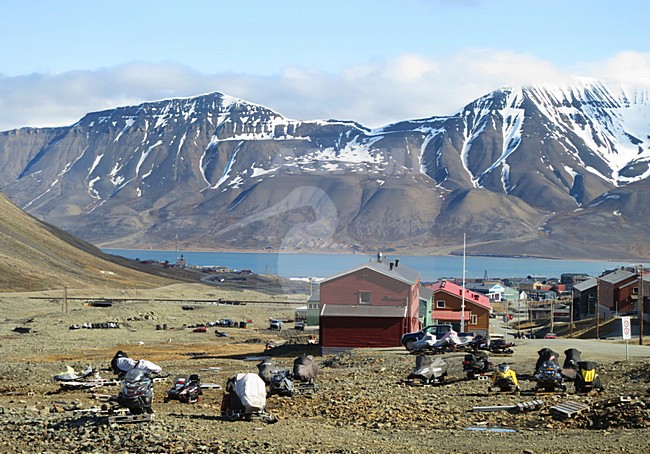 Longyearbyen, Spitsbergen stock-image by Agami/Marc Guyt,