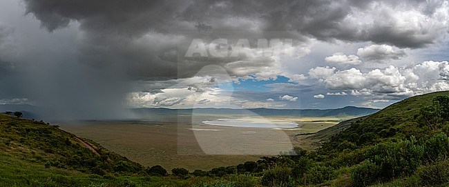 A rainstorm hits the Ngorongoro crater. Ngorongoro Conservation Area, Tanzania. stock-image by Agami/Sergio Pitamitz,