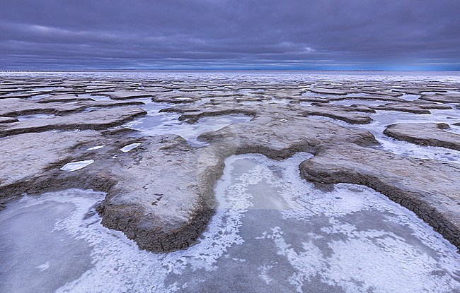 Frozen Wadden Sea stock-image by Agami/Wil Leurs,