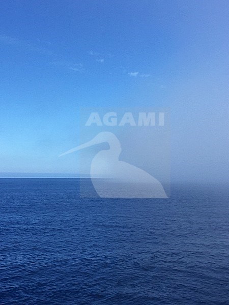 Coastal pacific ocean off Dunedin, South Islands, New Zealand. Mist bank at sea due to almost no wind. stock-image by Agami/Marc Guyt,