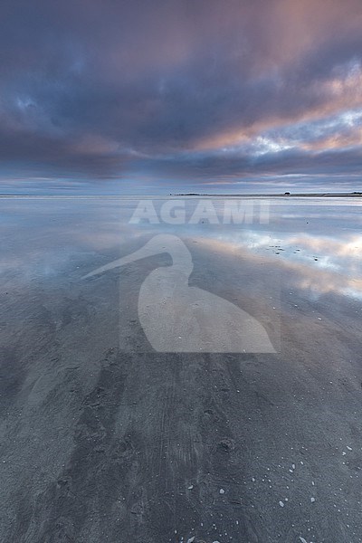 Frozen Wadden Sea stock-image by Agami/Wil Leurs,