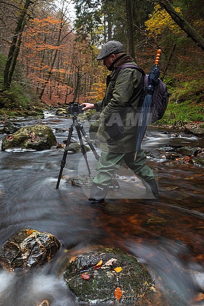 Photographer in the River Hoëgne high fens stock-image by Agami/Wil Leurs,