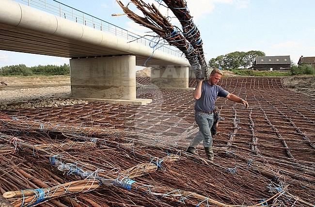 Een groepje mannen is een zinkstuk aan het maken A couple of men are manufactering a zinkstuk, a matrass made out of willowwood. These are being placed under water near bridges and riverbanks, in order to prevent erosion. stock-image by Agami/Jacques van der Neut,