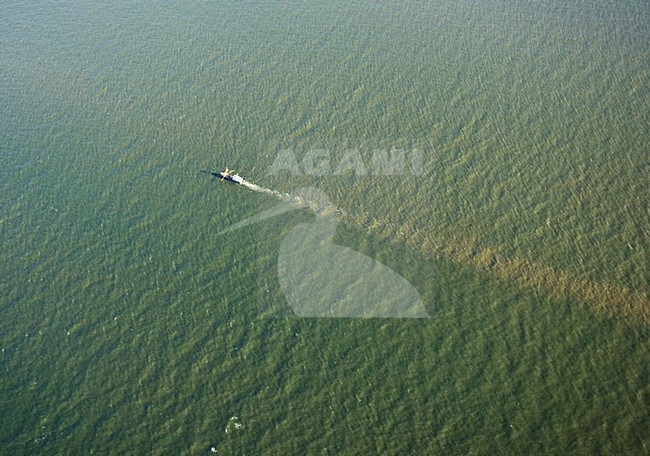 Vissersboot op het IJsselmeer; Fishingvessel on the IJsselmeer stock-image by Agami/Marc Guyt,