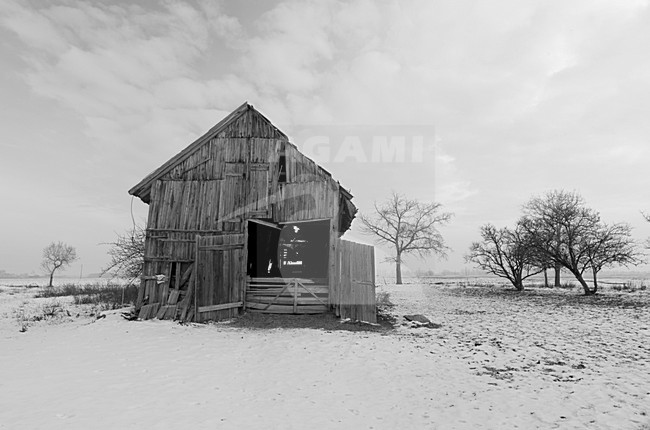 Oude schuur in winters landschap, Old barn in winter landscape stock-image by Agami/Rob de Jong,