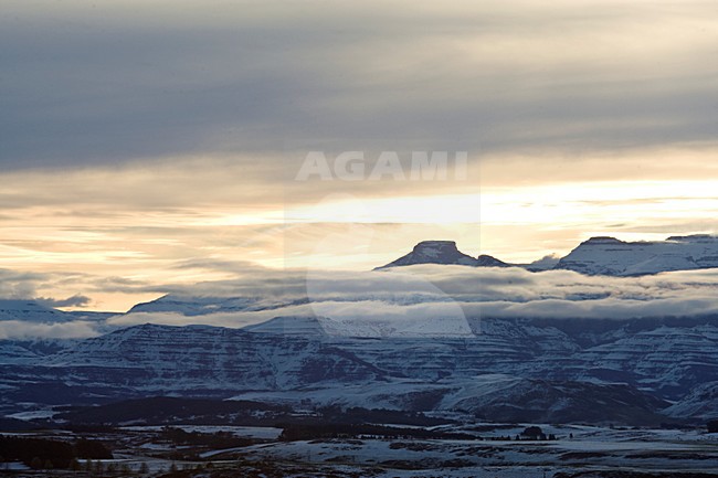 Underberg, Drakensbergen, South-Africa stock-image by Agami/Marc Guyt,
