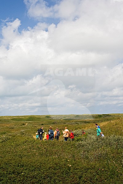 Marc Guyt / www.agami.nl stock-image by Agami/Marc Guyt,