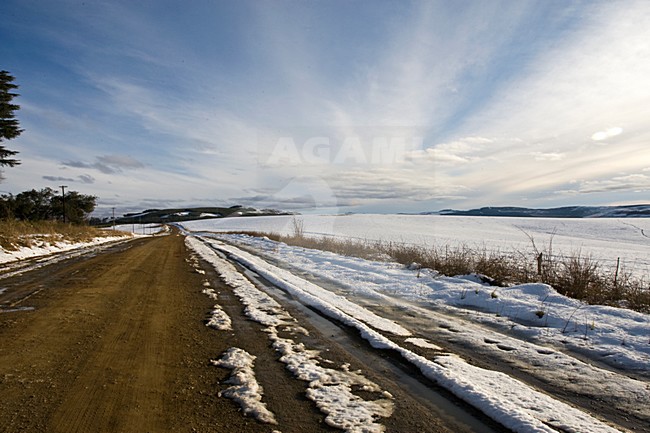 Drakensbergen, South-Africa stock-image by Agami/Marc Guyt,
