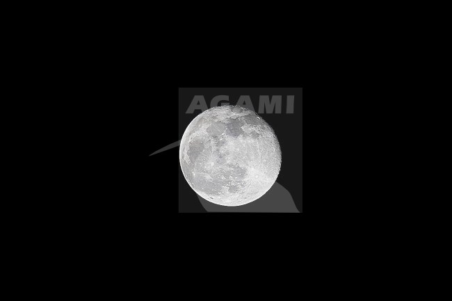 Full moon at night in Gabon. stock-image by Agami/Pete Morris,