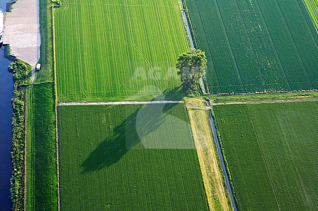 Luchtfoto van de Noordoostpolder; Aerial photo of the Noordoostpolder stock-image by Agami/Marc Guyt,