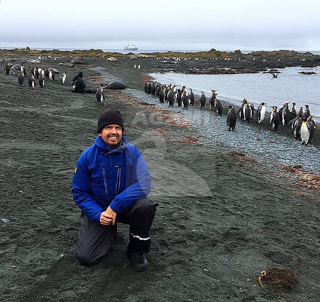 Wildlife photographer Marc Guyt on beach of Macquarie island, subantarctic region, Australia. A UNESCO World Heritage Site in the southwest Pacific Ocean. stock-image by Agami/Marc Guyt,