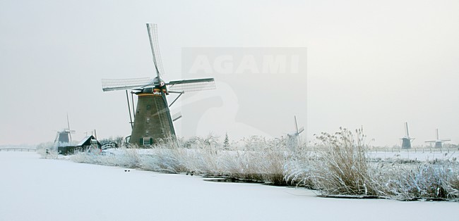 Winterlandschap met molen; Winter landscape with windmill stock-image by Agami/Bas Haasnoot,