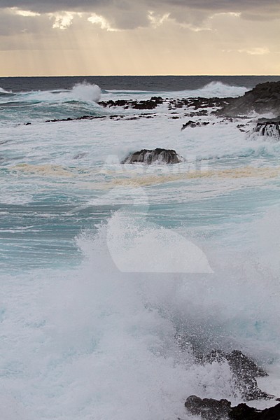 Kust Azoren, Coast Azores stock-image by Agami/Menno van Duijn,