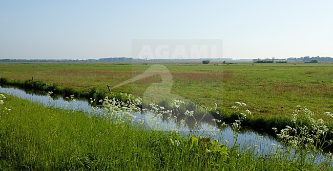 Landschap Arkemheen, Landscape Arkemheen stock-image by Agami/Roy de Haas,