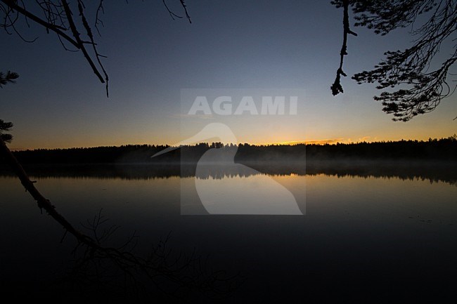 Taiga meer Finland, Taiga lake Finland stock-image by Agami/Menno van Duijn,