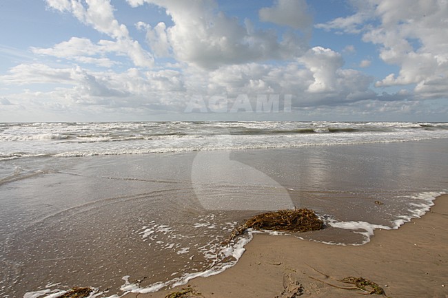 Noordzeestrand; North Sea beach stock-image by Agami/Marc Guyt,