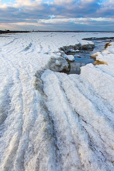 IJsgruis op het wad bij Wierum, Ice on tidalflats at Wierum stock-image by Agami/Wil Leurs,