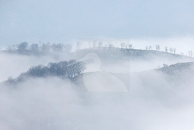 Mountain landscape, Fog among mountain tops, Campania, Italy stock-image by Agami/Saverio Gatto,