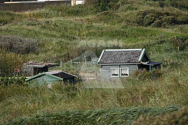 Dunes of Six coastal village Egmond aan Zee Netherlands; Duinen van Six kustdorp Egmond aan Zee Nederland stock-image by Agami/Marc Guyt,