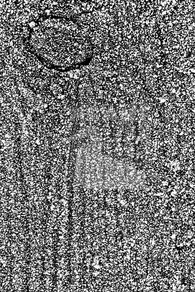 Berijpt hek, Frosted fence stock-image by Agami/Wil Leurs,