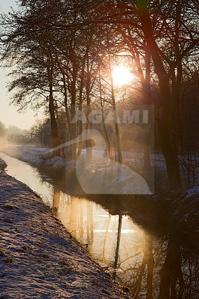 Weiland met sneeuw en zonsopkomst, Meadow with snow in sunrise stock-image by Agami/Roy de Haas,